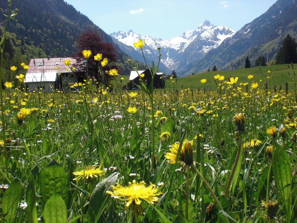 Haus Stein Apartment Oberstdorf
